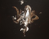 La ceremonie des spectres affranchis