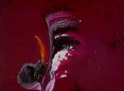 235-imbroglio-40x30_1000